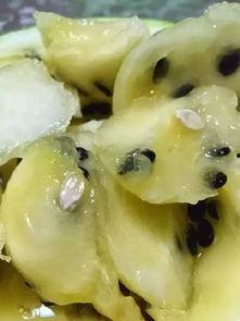 冬日里吃籽瓜,冬日暖阳下的籽瓜盛宴