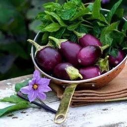 吃瓜的小茄子,揭秘瓜界那些事儿