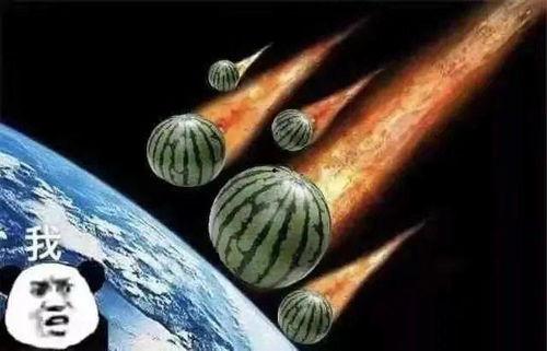 后悔吃瓜的文案