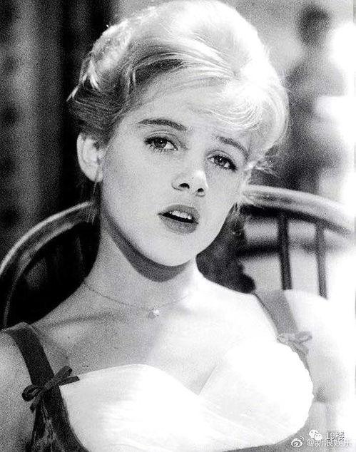 吃瓜洛丽塔,一场关于爱与禁忌的甜蜜陷阱