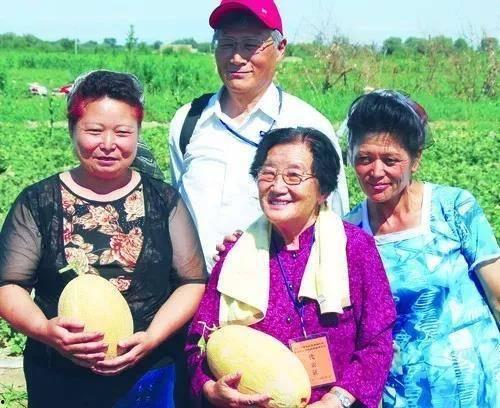 吃瓜81,一场全民参与的娱乐盛宴