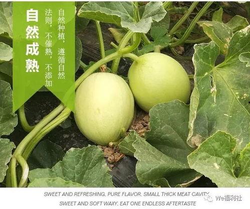 商场围着吃瓜,商场吃瓜群众的热闹日常