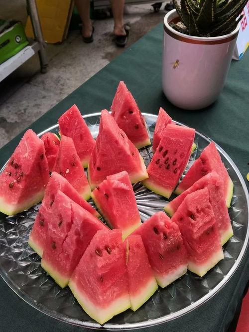 年底吃瓜比赛,吃瓜大赛狂欢盘点