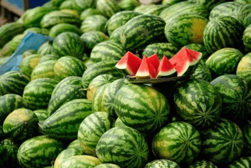 泊头运河桥下吃瓜,夏日吃瓜时光的悠闲画卷