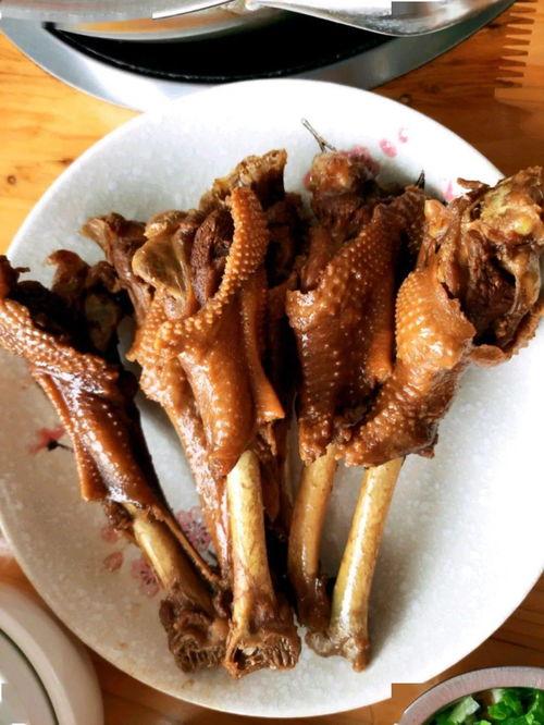 鹅崽吃瓜,揭秘动物界的“八卦”现象