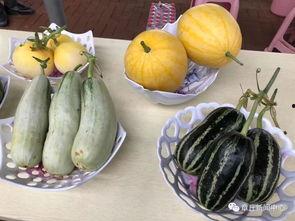 今日吃瓜南京,揭秘南京的那些事儿