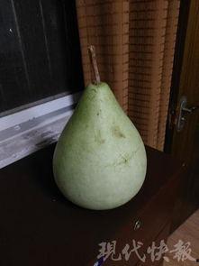 盐城吃瓜事件最新,真相揭秘与网络舆论的漩涡