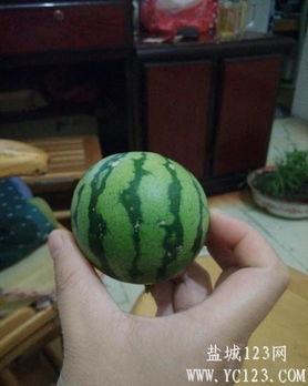 盐城吃瓜事件最新,真相揭秘与网络舆论的漩涡