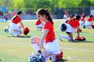 校园吃瓜违法吗,揭秘校园内那些“违法”的吃瓜行为