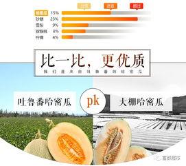 吃瓜群众商机分享,揭秘瓜界致富密码