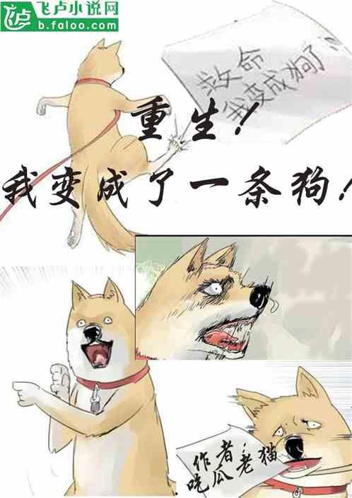 吃瓜小铺小说免费阅读