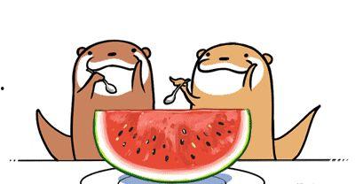 吃瓜团支书,揭秘娱乐圈背后的那些事儿