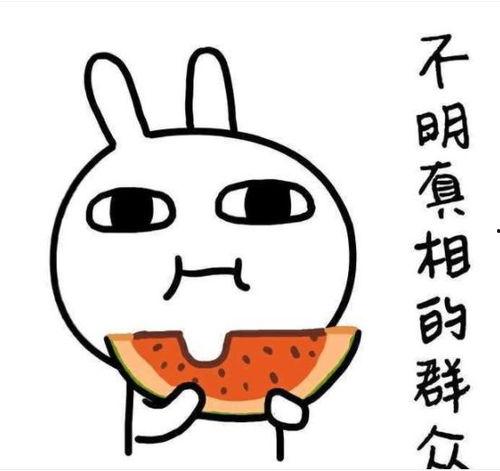 吃瓜团支书,揭秘娱乐圈背后的那些事儿