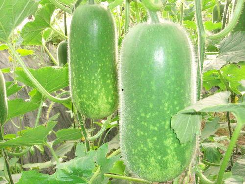 vx的吃瓜群,一场场热门事件的幕后风云