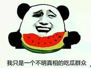 外网评论中国吃瓜,网络舆论场中的社会观察与反思