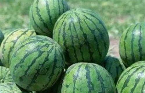 乾隆可以吃瓜吗,皇家吃瓜秘史