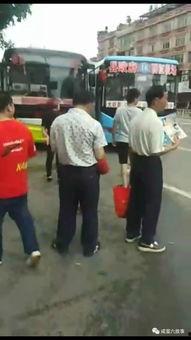 在线吃瓜围观视频,吃瓜群众围观在线吃瓜视频，揭秘幕后故事