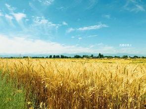 山外云吃瓜,揭秘娱乐圈的幕后故事