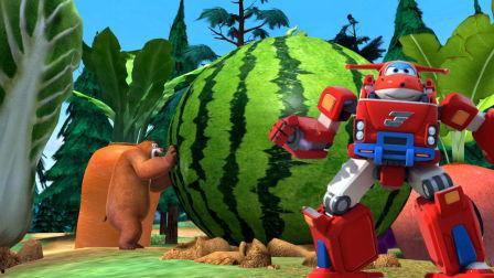 熊在吃瓜,一场自然界的悠闲午后