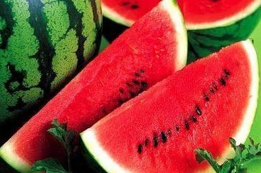 与吃瓜有关科技,揭秘吃瓜界的科技革命