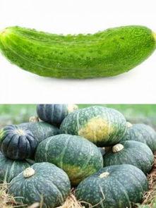 还是客串 吃瓜,明星们的“根据”与“客串”吃瓜大揭秘