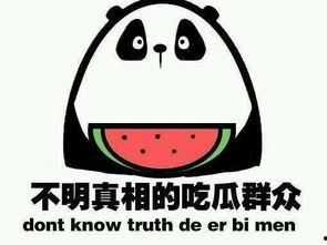 网友在哪吃瓜,网友热议“在哪吃瓜”背后的故事