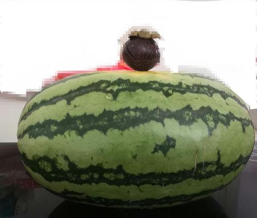 平时大家都怎么吃瓜,全民狂欢背后的真相与反思