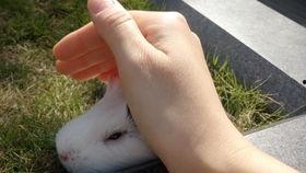 吃瓜吧唧吧唧,吧唧吧唧，尽享夏日美味时光