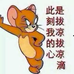 群众吃瓜壳图片,群众共享欢乐时光