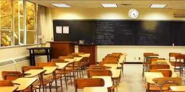 吃瓜视频阶梯教室,揭秘网络热点的幕后故事