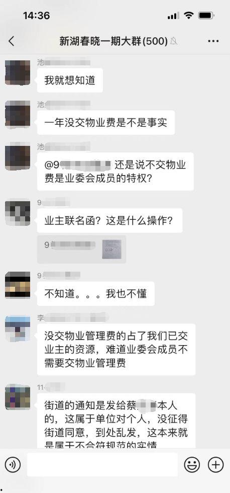 聊天群 吃瓜,一场全民参与的娱乐盛宴