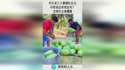 法律理性吃瓜,揭秘网络舆论背后的法律逻辑