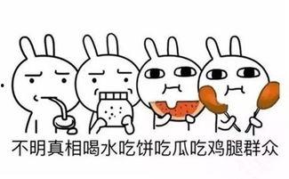 吃瓜群众评娱乐