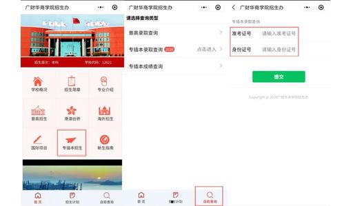 华商专插本吃瓜