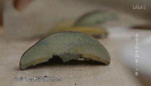 云南吃完瓜吃野生菌