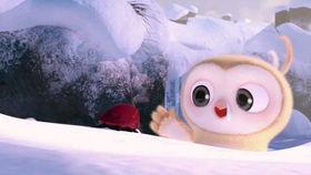 国外恶搞吃瓜视频,笑料百出，笑翻全球！