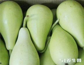 糖尿病人吃葫芦瓜好吗