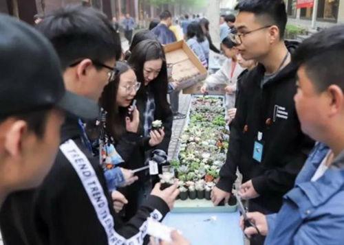 学校里打架吃瓜,一场打架事件背后的“吃瓜”众生相