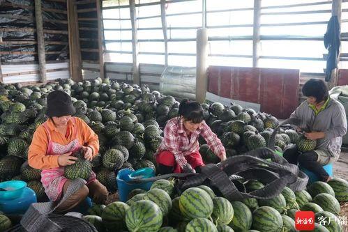 打仗吃瓜群众,吃瓜群众视角下的战争风云